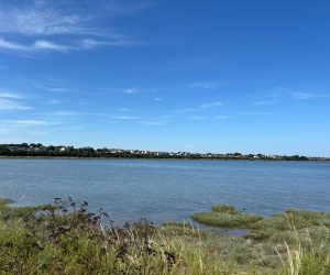 🌊 Día 8: Cambio de planes… ¡y día de playa en Bull Island!